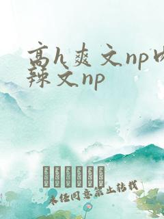 高h爽文np肉辣文np
