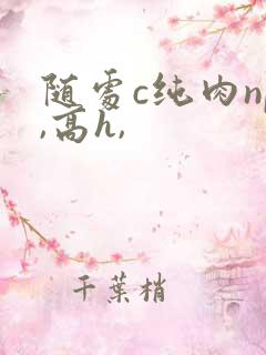 随处c纯肉np,高h,