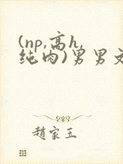 (np,高h,纯肉)男男文