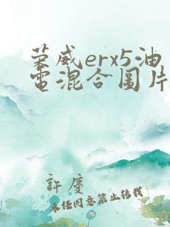 荣威erx5油电混合图片