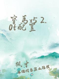 宝马x5 2.0t配置
