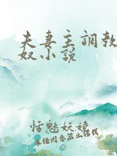 夫妻主调教夫妻奴小说