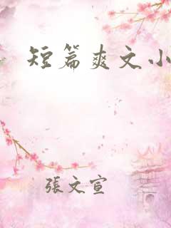短篇爽文小说集 短篇爽文小说集