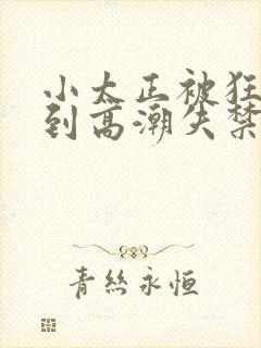 小太正被狂c躁到高潮失禁小说