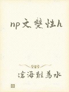 np文双性h