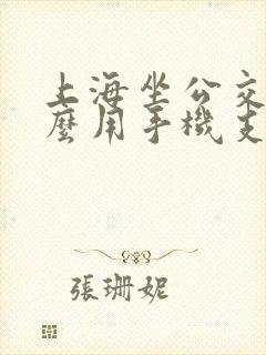 上海坐公交车怎么用手机支付