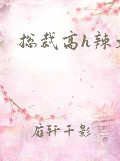 总裁高h辣文