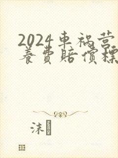 2024车祸营养费赔偿标准多少一天
