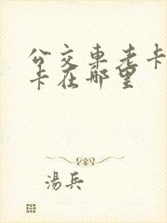 公交车老卡换新卡在哪里