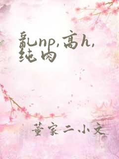 乱np,高h,纯肉