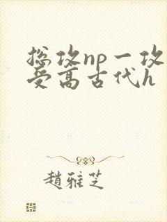 总攻np一攻多受高古代h