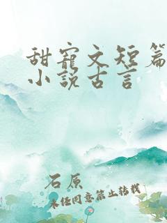 甜宠文短篇完结小说古言