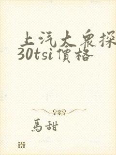 上汽大众探岳330tsi价格