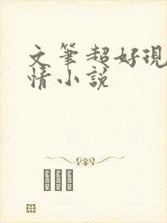 文笔超好现代言情小说