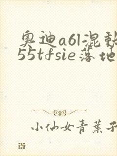 奥迪a6l混动55tfsie落地价