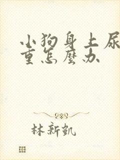 小狗身上尿骚味重怎么办