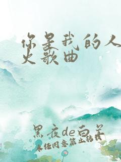 你是我的人间烟火歌曲