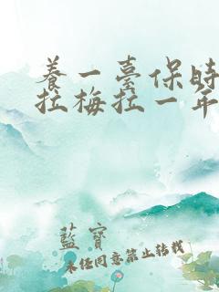 养一台保时捷帕拉梅拉一年多少钱