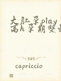 大肚孕play高h孕期双性