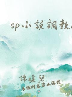 sp小说调教h
