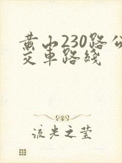 黄山230路公交车路线