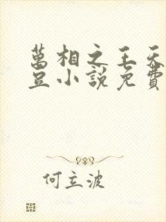 万相之王天蚕土豆小说免费