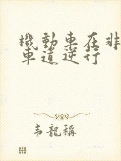 机动车在非机动车道逆行