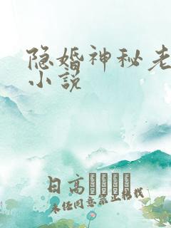 隐婚神秘老公 小说