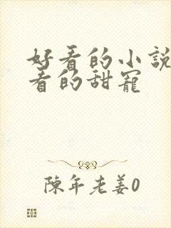 好看的小说女生看的甜宠