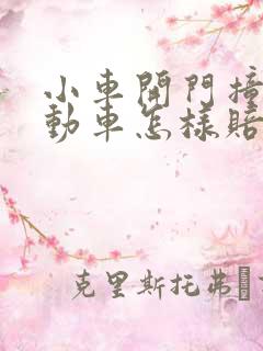 小车开门撞到电动车怎样赔偿