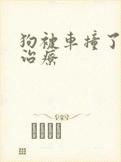 狗被车撞了怎么治疗