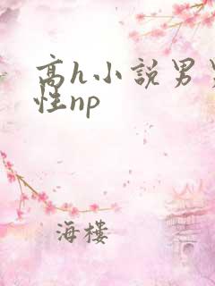 高h小说男男双性np