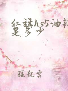 红旗hs5油耗是多少