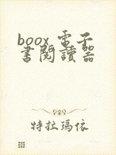 boox 电子书阅读器