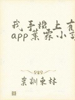 我手机上有禁忌app叶霖小说免费阅读