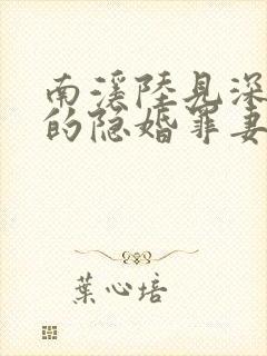 南溪陆见深陆少的隐婚罪妻