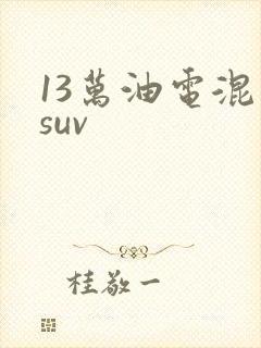 13万油电混动suv 13万油电混动suv
