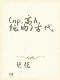 (np,高h,纯肉)古代
