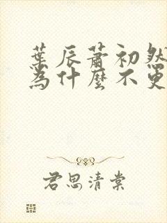 叶辰萧初然小说为什么不更新了