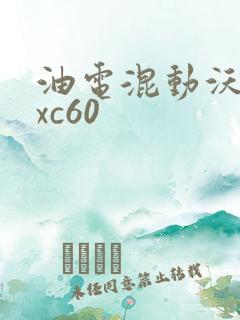 油电混动沃尔沃xc60