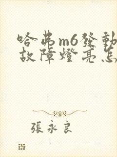 哈弗m6发动机故障灯亮怎么办 哈弗m6发动机故障灯亮怎么办