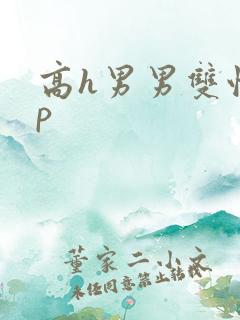 高h男男双性np