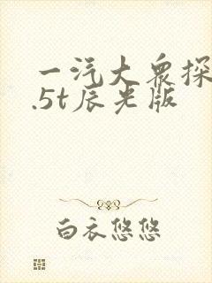 一汽大众探歌1.5t辰光版
