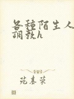 各种陌生人np调教h