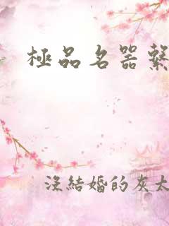 极品名器系统》