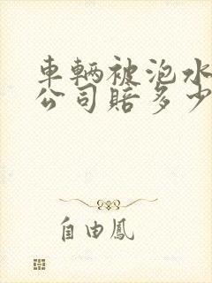 车辆被泡水保险公司赔多少钱