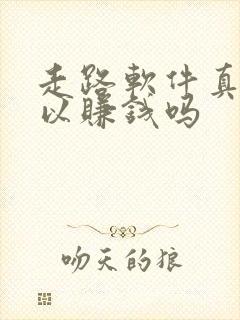 走路软件真的可以赚钱吗