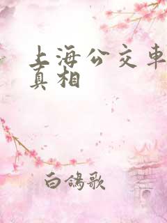 上海公交车事件真相
