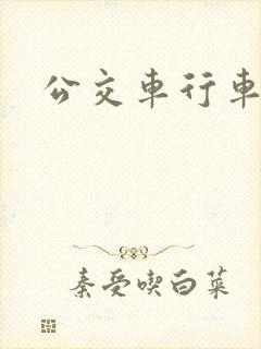 公交车行车安全