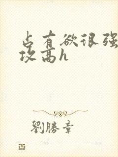 占有欲很强糙汉攻高h